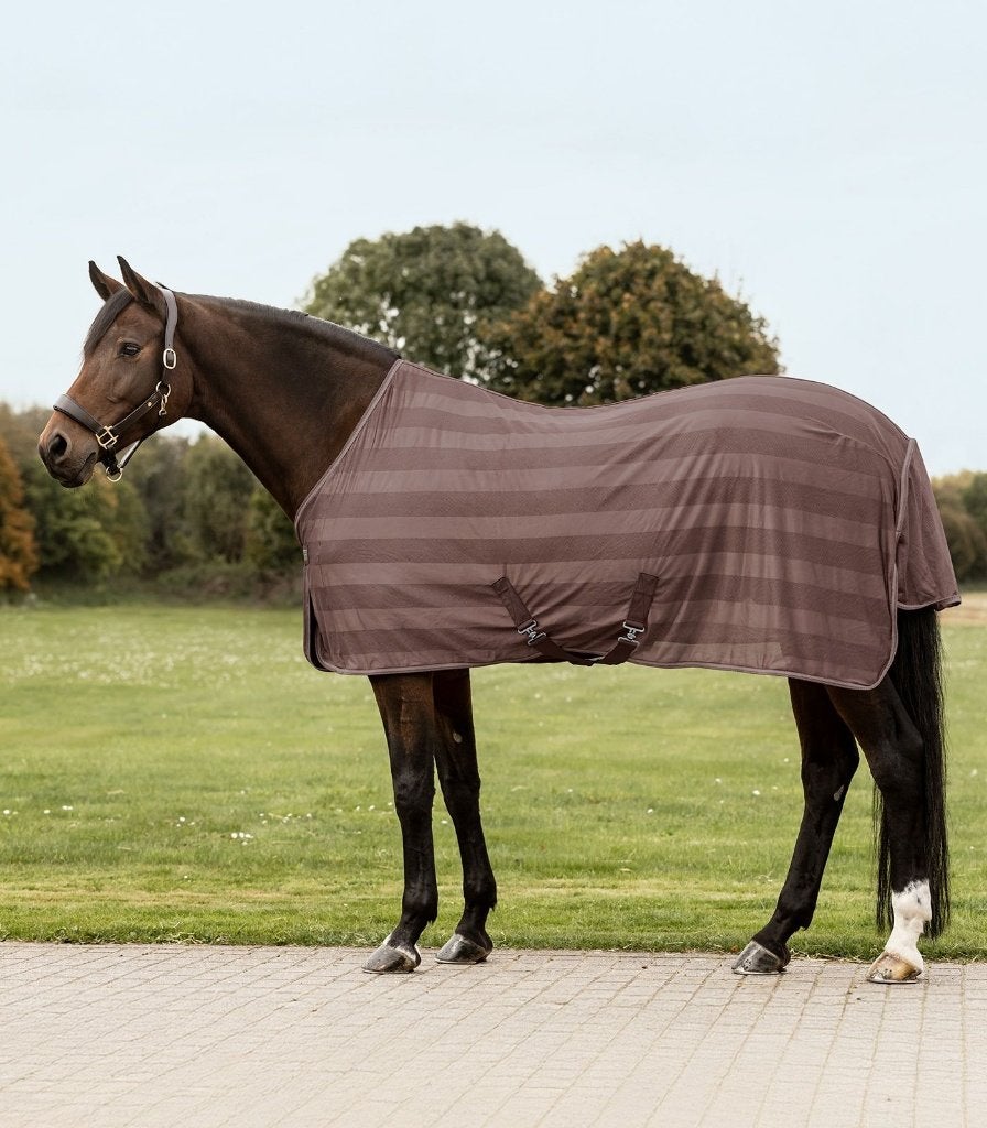 Waldhausen vliegendeken economic bruin Shet Pony Paard