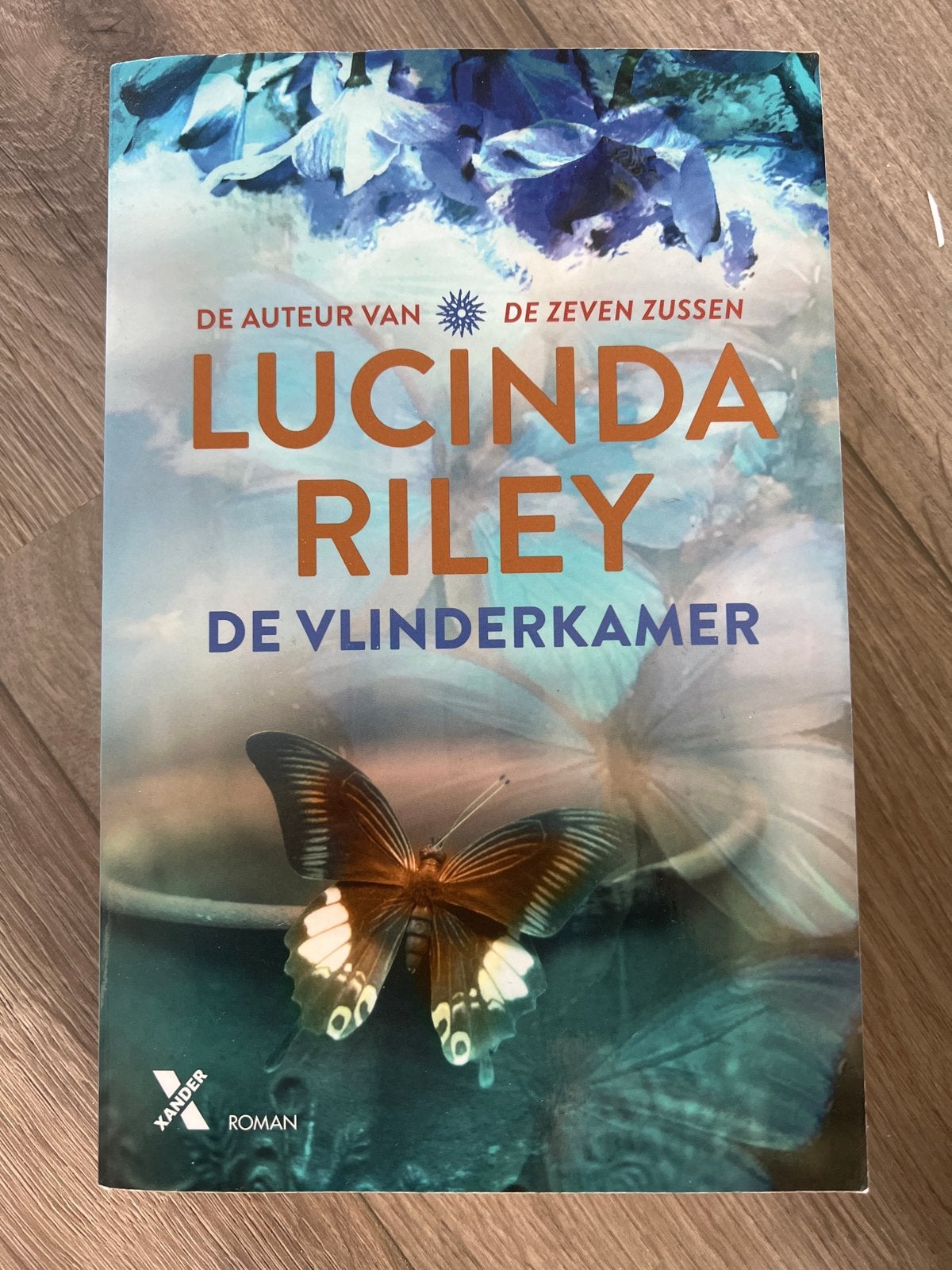 De Vlinderkamer - Lucinda Riley (Roman), Boeken, Romans, Verzenden, Zo goed als nieuw, Nederland