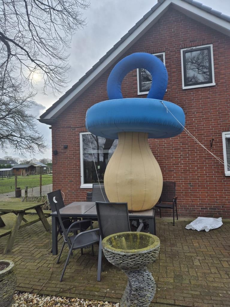 Grote opblaasbare speen te huur voor geboorte, Ophalen of Verzenden, Gebruikt, Geboortebord