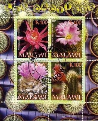 Cactussen - Malawi 2007 - Gestempeld, Verzenden, Gestempeld, Dier of Natuur