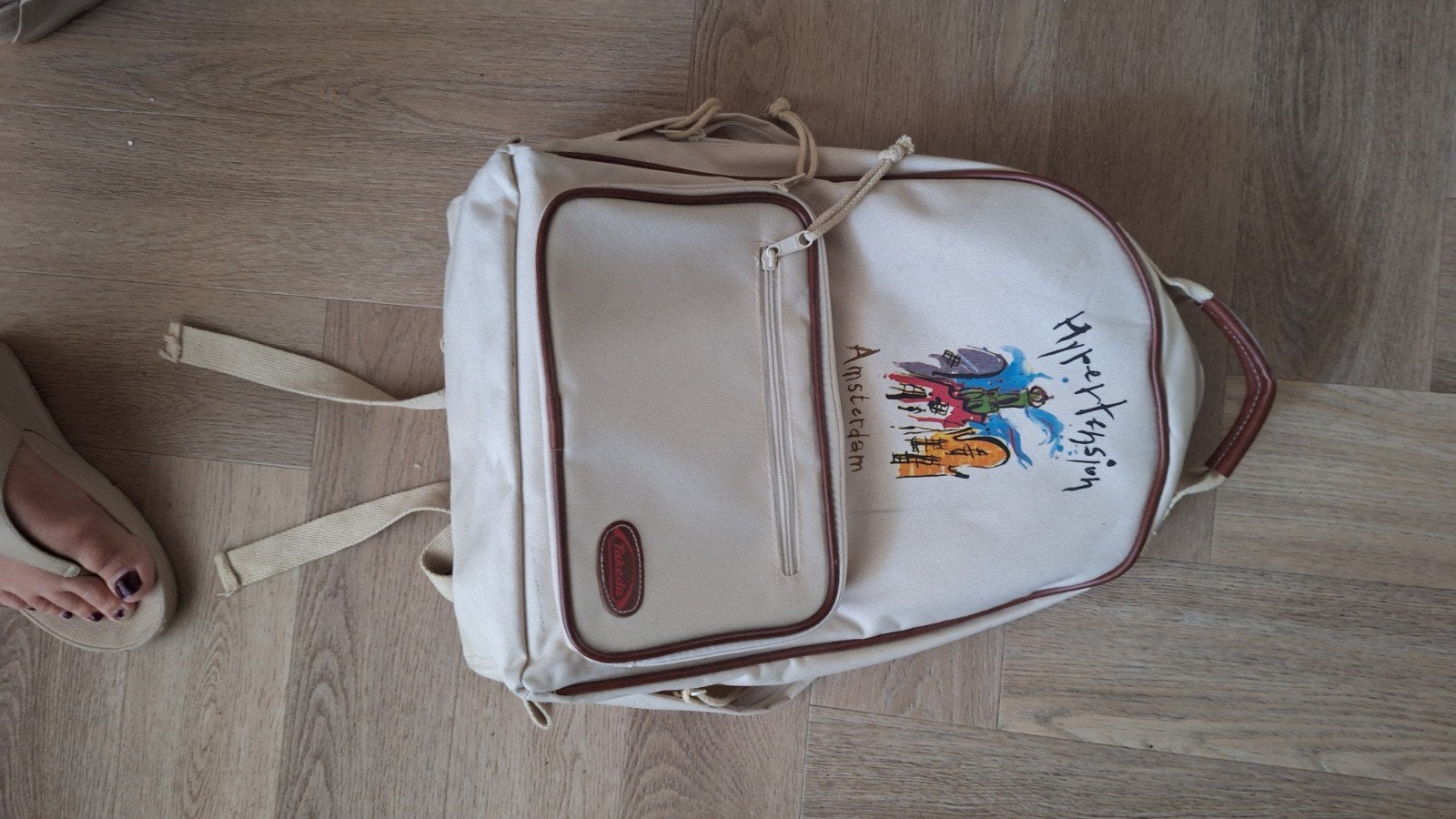 Rugzak Amsterdam, Sieraden, Tassen en Uiterlijk, Tassen | Rugtassen, Overige merken, Gebruikt, 25 tot 40 cm, Ophalen of Verzenden