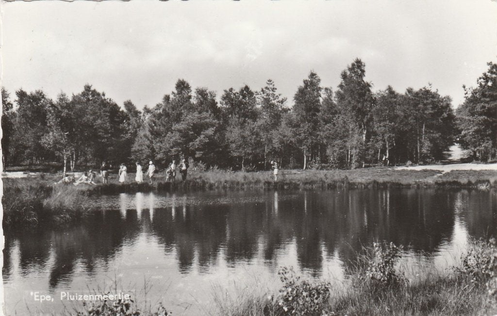 epe- pluizenmeertje, Ophalen of Verzenden, 1940 tot 1960, Gelderland