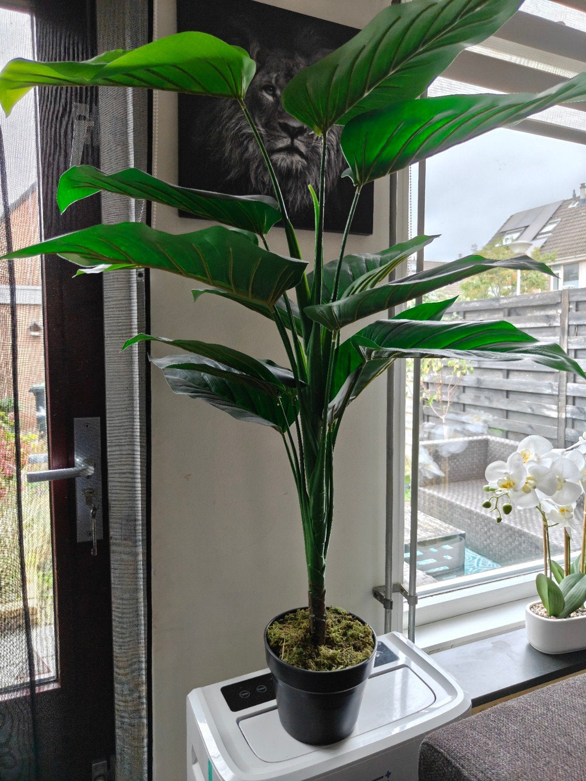 Grote kunstplant, Ophalen, Gebruikt