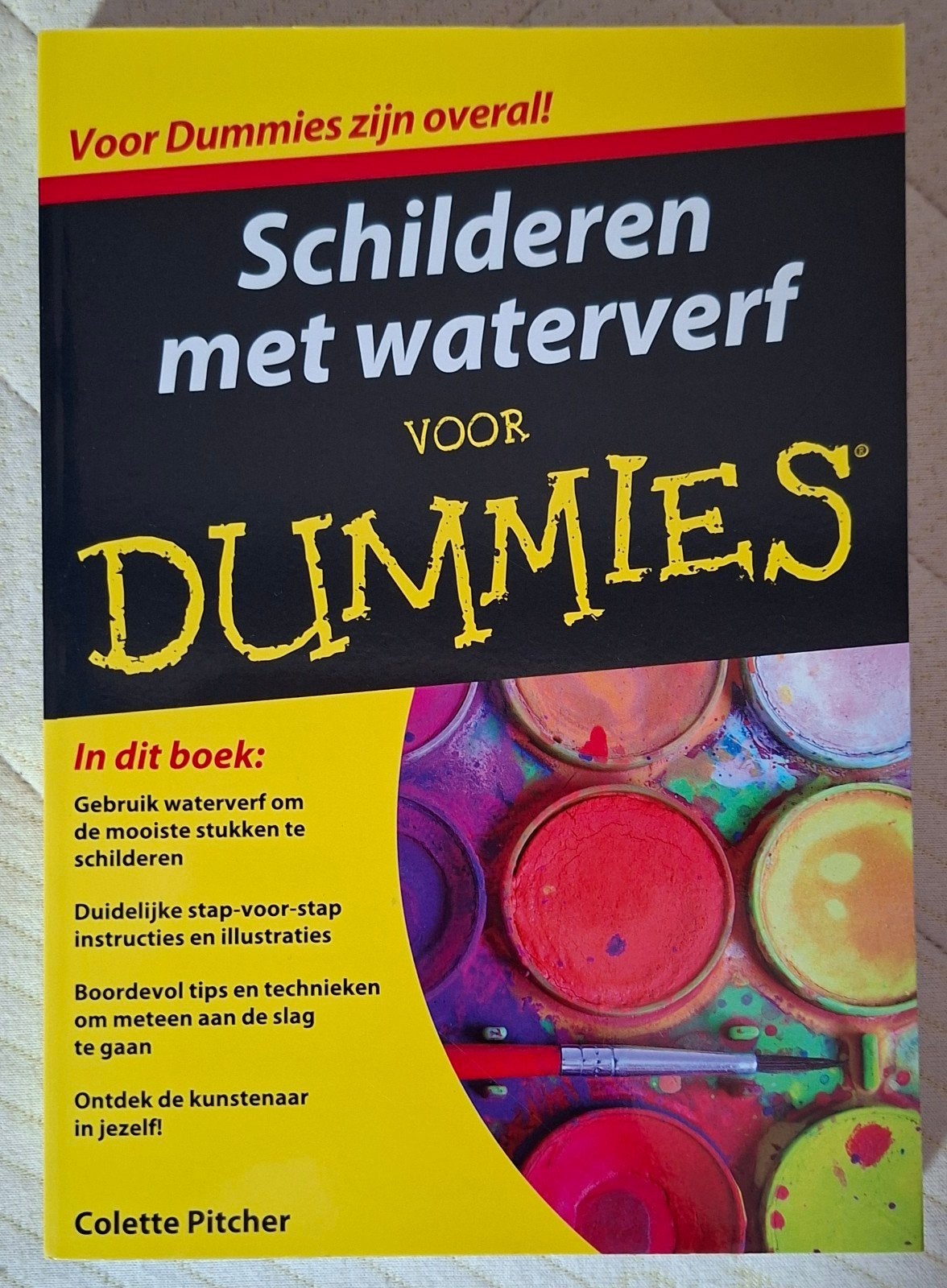 Schilderen voor Dummies: Acrylverf, Olieverf, Waterverf, Ophalen of Verzenden