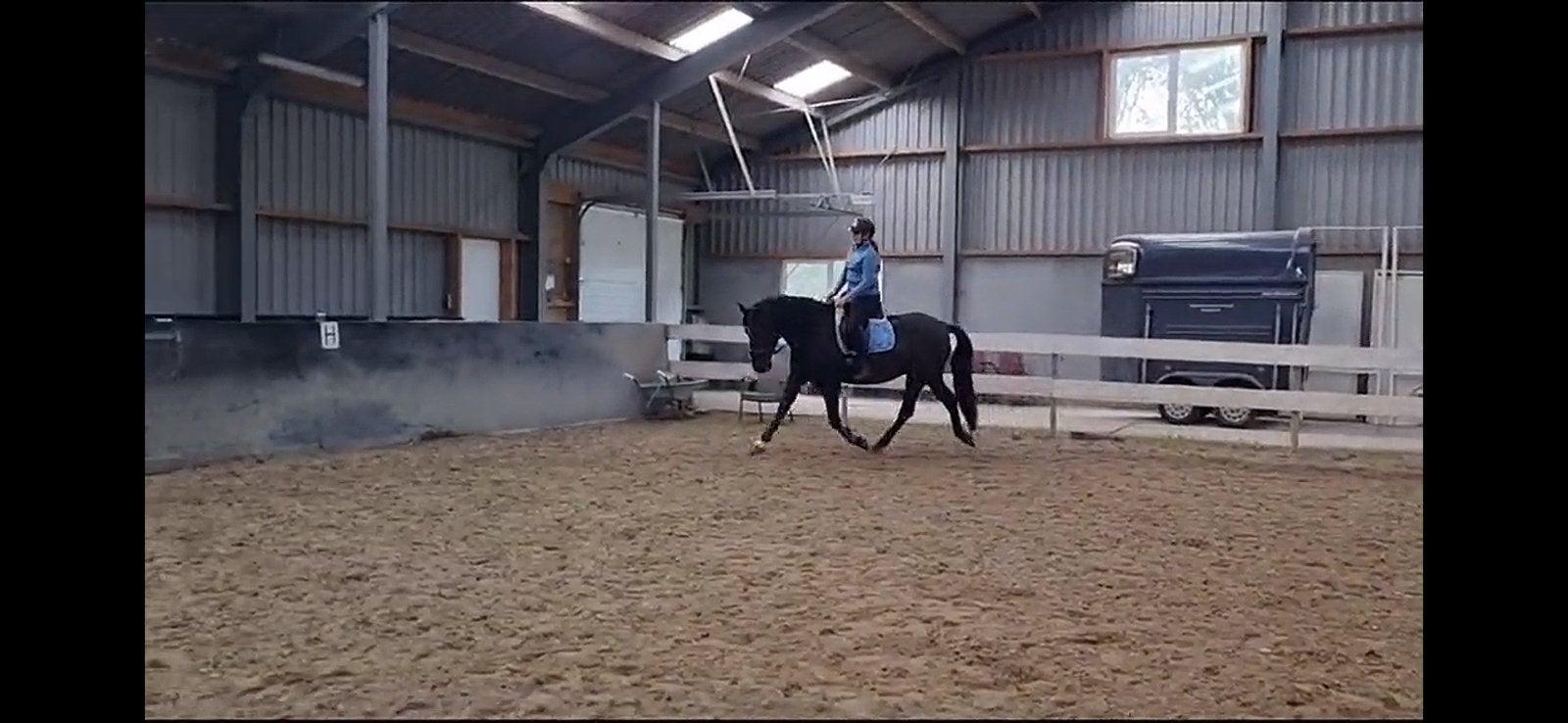 Bijrijder aangeboden/ bijrijd paard gezocht, Dieren en Toebehoren, Ophalen of Verzenden, Zo goed als nieuw