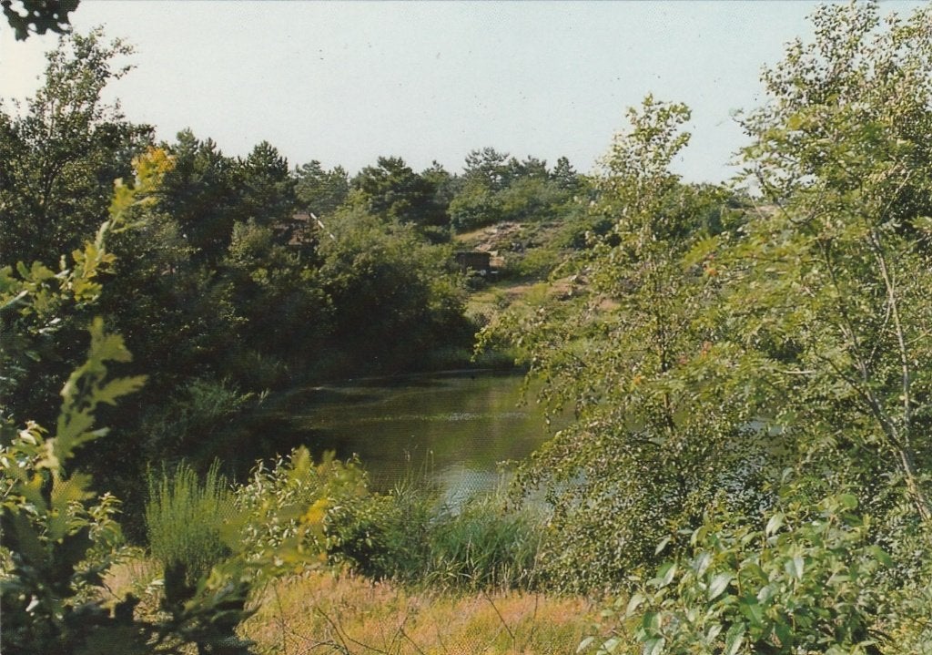 SCHOORL Meertje, Verzamelen, Verzenden, 1980 tot heden, Gelopen, Noord-Holland