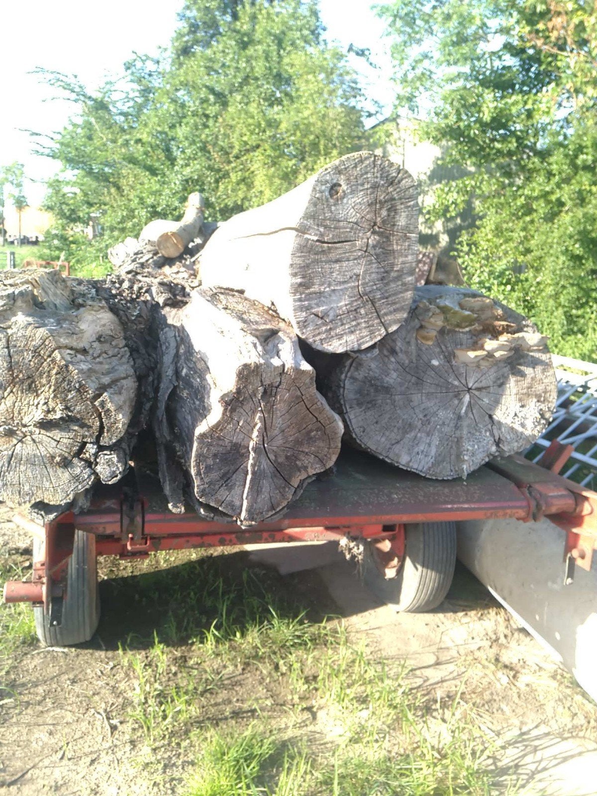 Grote partij houtblokken, diverse houtsoorten, Tuin en Terras, Haardhout, 6 m³ of meer, Ophalen of Verzenden, Eikenhout, Blokken