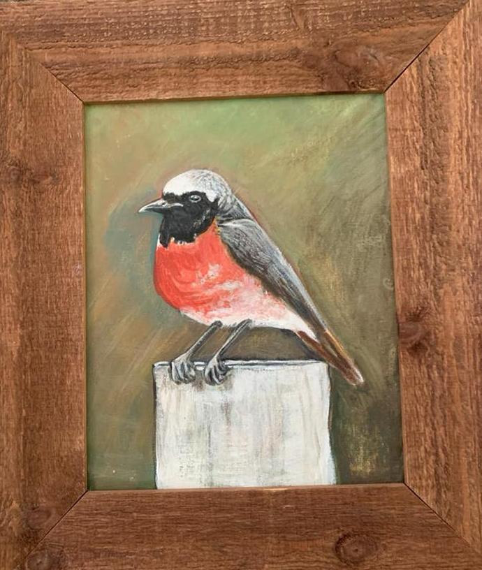 Schilderij: Roodborst tapuit op paaltje in houten lijst, Ophalen of Verzenden