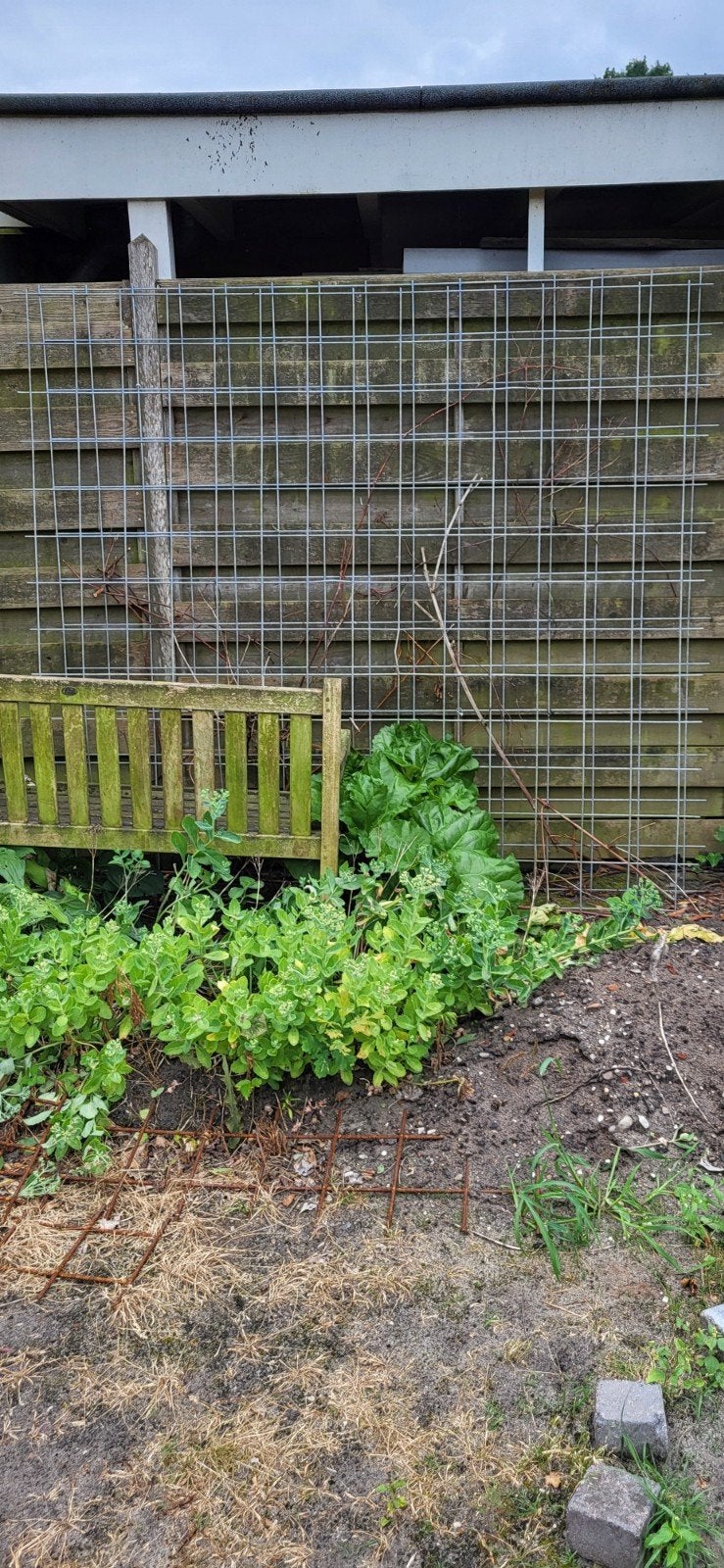 Gaashekwerk voor tuin of erf, Ophalen, Gebruikt, IJzer, Gaashekwerk