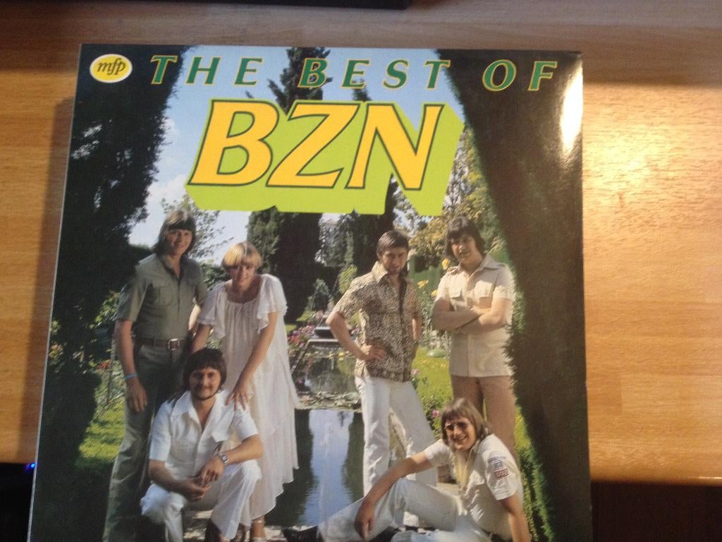 LP's Diverse vanaf 5 euro, Ophalen, Gebruikt, 12 inch