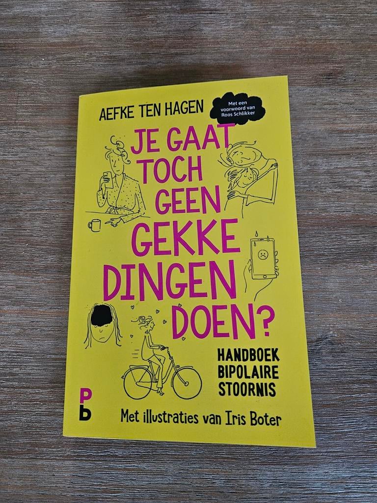 Je Gaat Toch Geen Gekke Dingen Doen?  Bipolaire St, Ophalen of Verzenden, Zo goed als nieuw, Klinische psychologie, Aefke ten Hagen