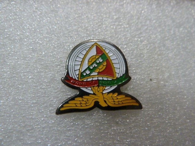 Unieke Pin met Vleugels en Driehoekig Embleem, Verzamelen, Ophalen of Verzenden, Gebruikt, Overige onderwerpen, Speldje of Pin