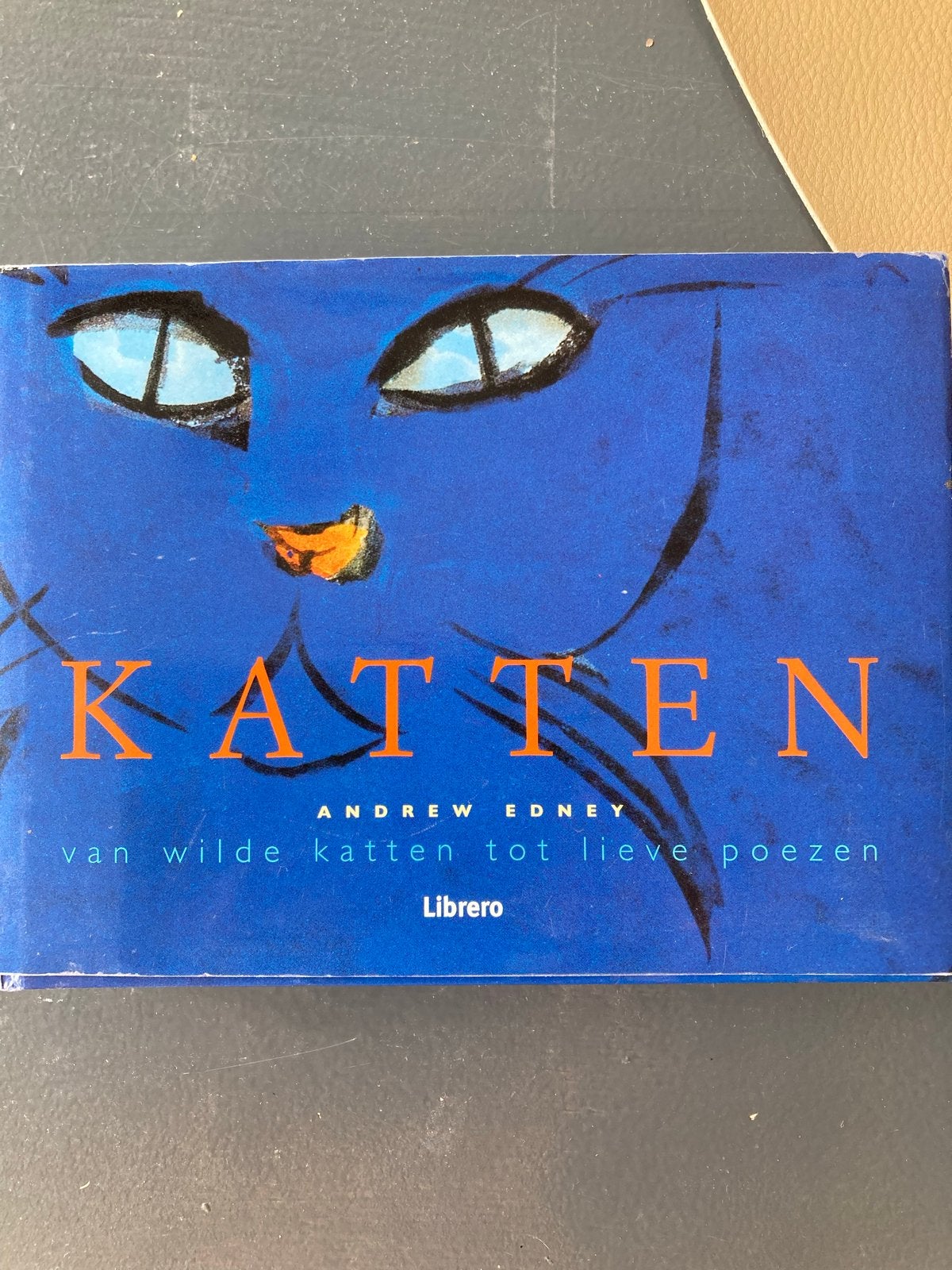 Kat: Van Wilde Katten tot Lieve Poezen - Andrew Edney, Ophalen of Verzenden, Zo goed als nieuw, Katten