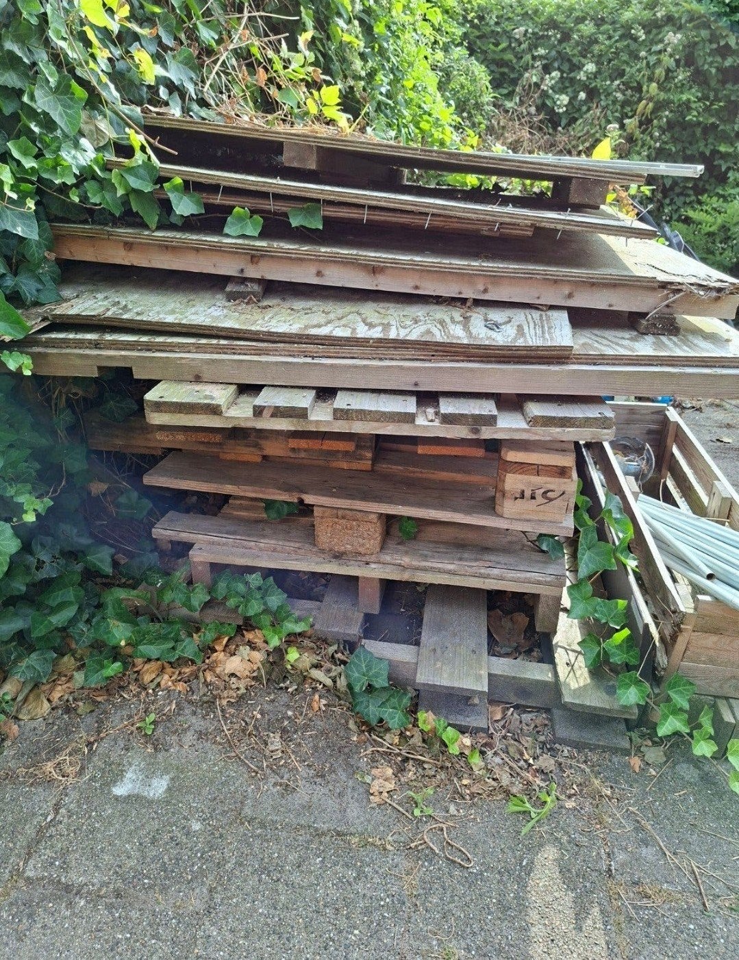 Gratis pallets, Ophalen, Overige houtsoorten, Minder dan 200 cm, Pallet