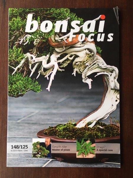 Bonsai Focus 148/125 - 6/2013 Nov/Dec, Boeken, Verzenden, Gelezen, Sport en Vrije tijd