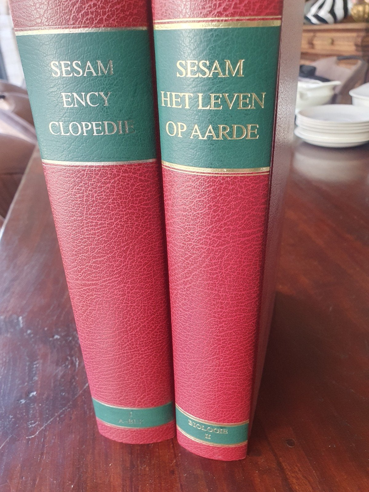Sesam 27 delig encyclopedie., Ophalen, Zo goed als nieuw, Algemeen, Complete serie