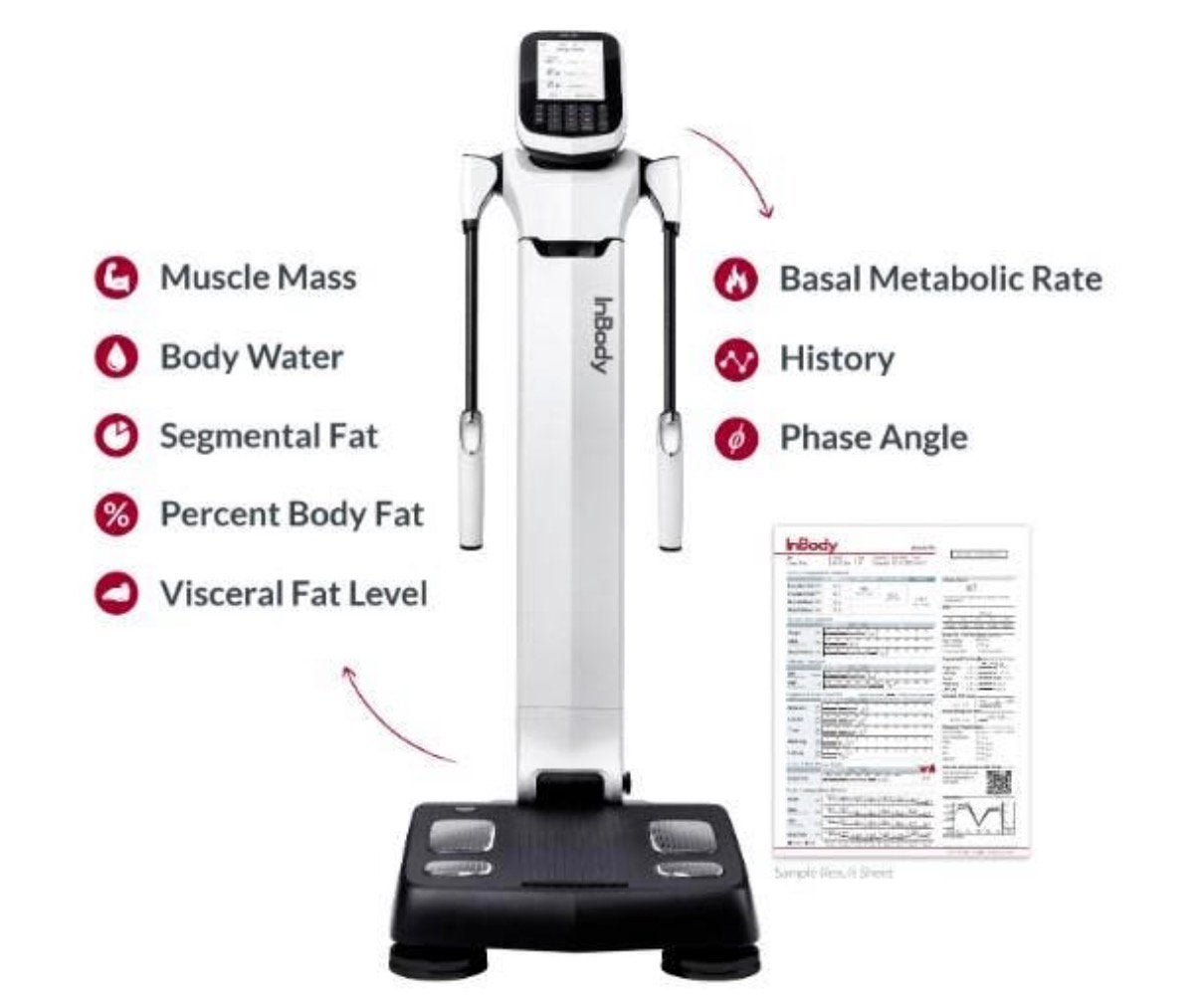 InBody 270s | Inclusief Printer | Uitstekende Staat, Ophalen, Zo goed als nieuw