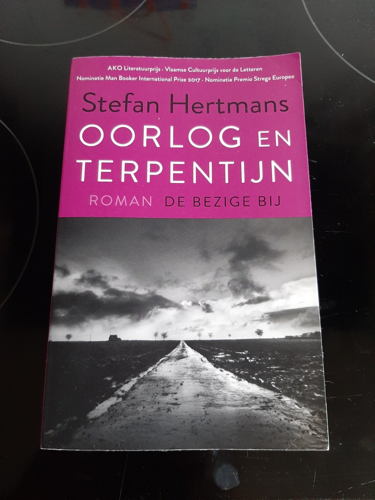 Oorlog en Terpentijn, Ophalen, Zo goed als nieuw, Stefan Hertmans, België