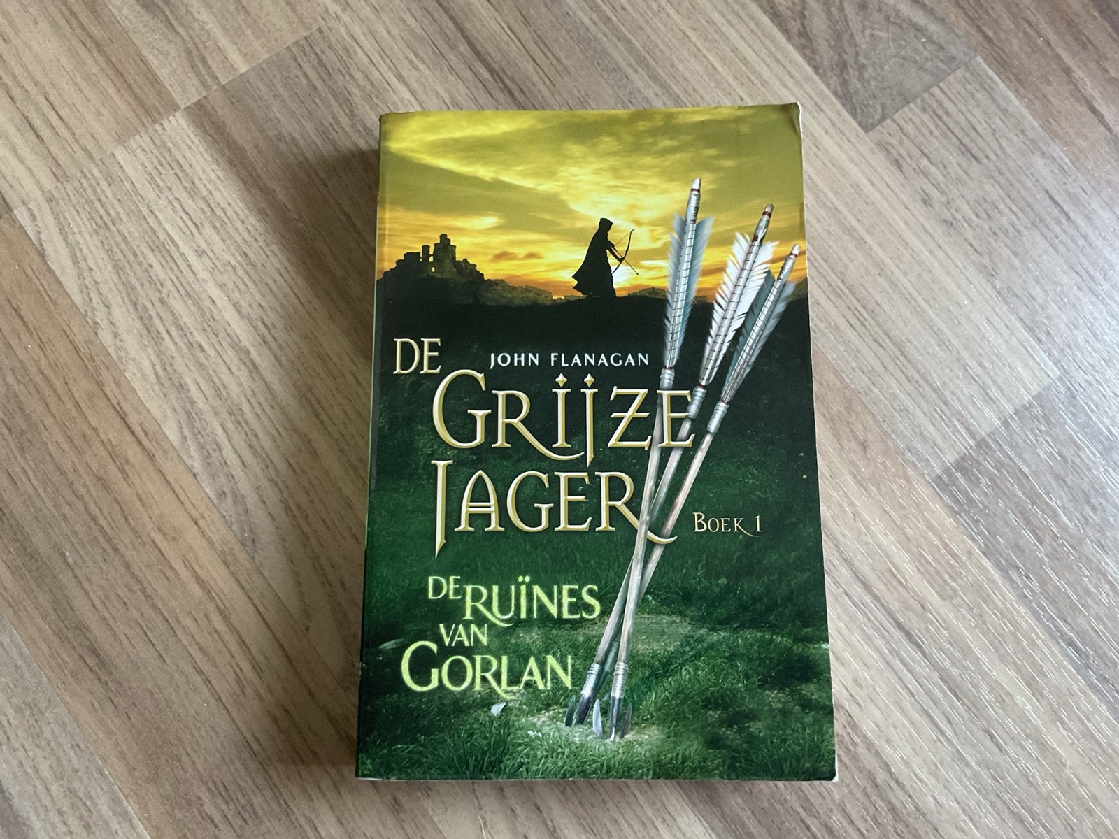 De Grijze Jager - De Ruïnes van Gorlan (Boek 1), Ophalen, Gelezen