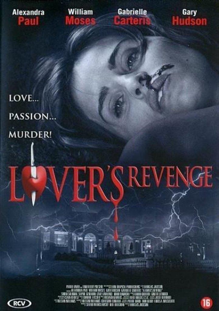 Lover's Revenge DVD, Vanaf 12 jaar, Verzenden, Zo goed als nieuw, Actiethriller
