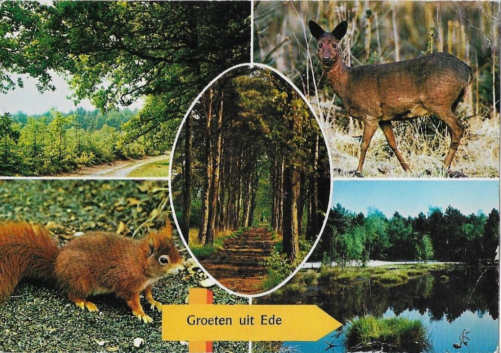 Ede Gelopen Ansichtkaart (B64), Ophalen of Verzenden, 1980 tot heden, Gelopen, Gelderland
