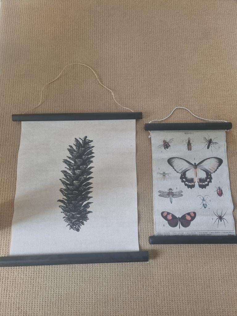 Oprolposters op doek in houten frame - Botanisch & Insecten, Ophalen, Wandhanger, Meerkleurig, Textiel