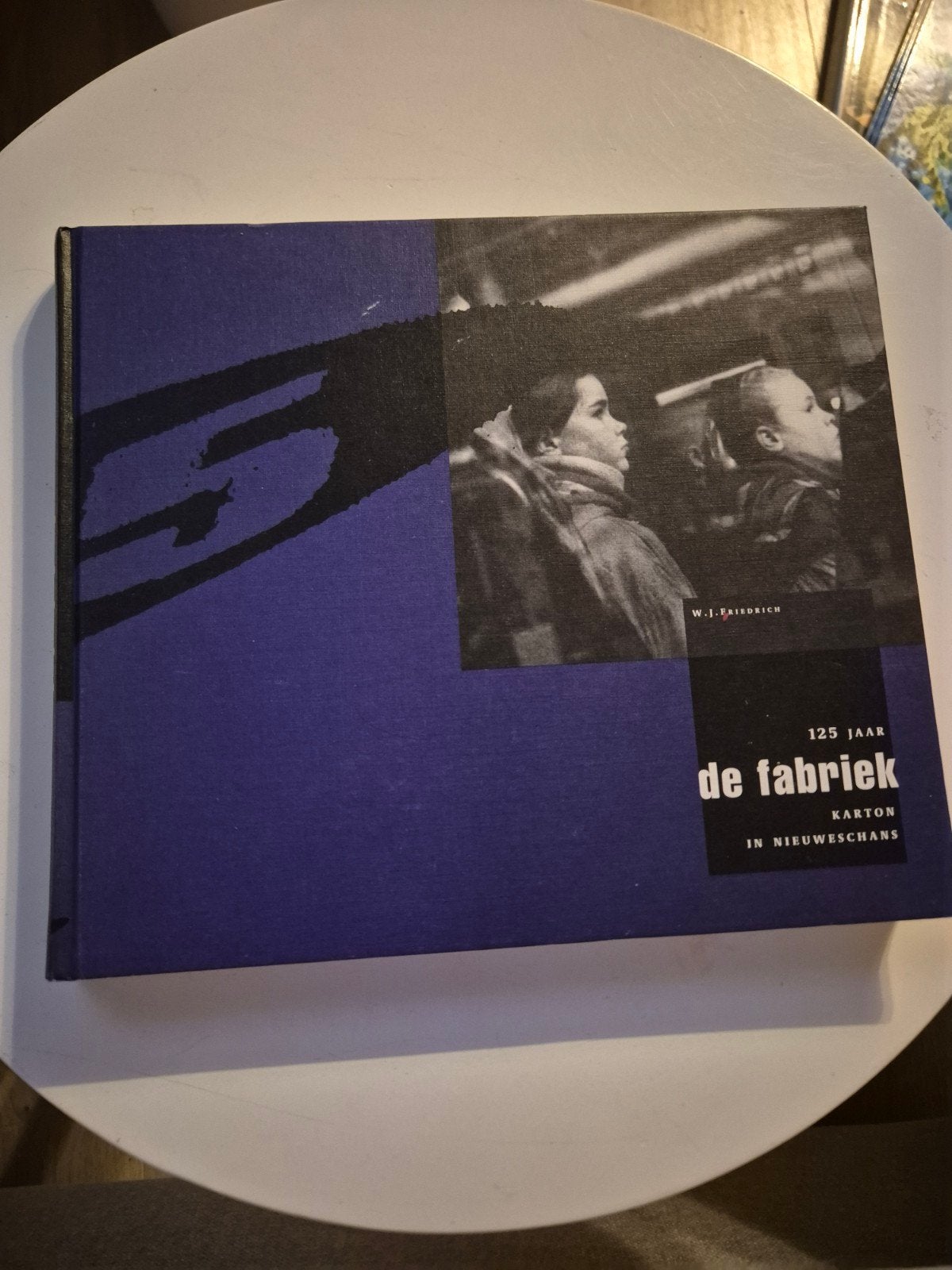 125 jaar de fabriek: Karton in Nieuweschans - W.J. Friedrich, Ophalen of Verzenden, Zo goed als nieuw, W.J. Friedrich, Nederland