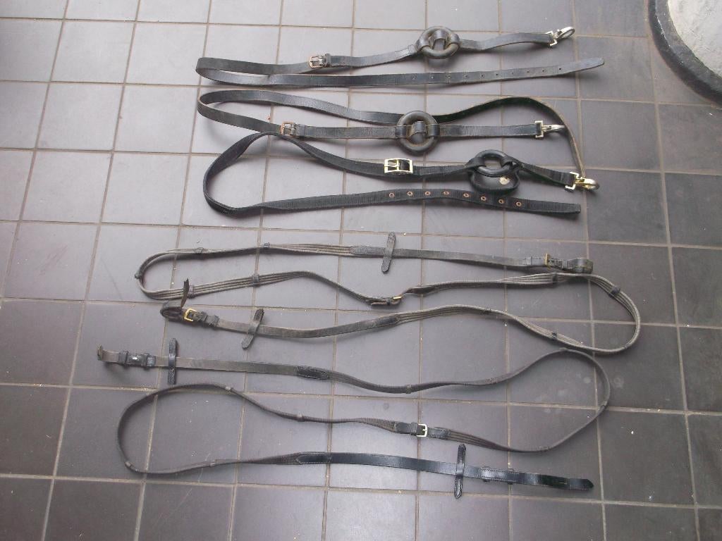 Hoofdstel en/of tuigages, Dieren en Toebehoren, Ophalen of Verzenden, Gebruikt