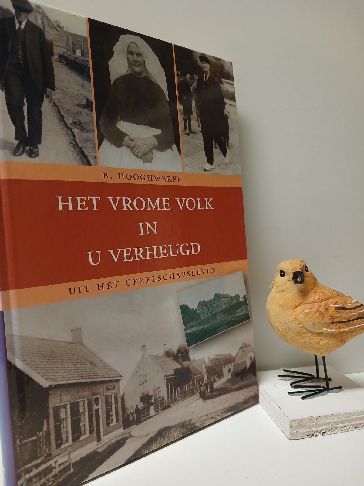 Hooghwerff,B.; Het vrome volk in U verheugd, Ophalen of Verzenden, Gelezen, Christendom | Protestants