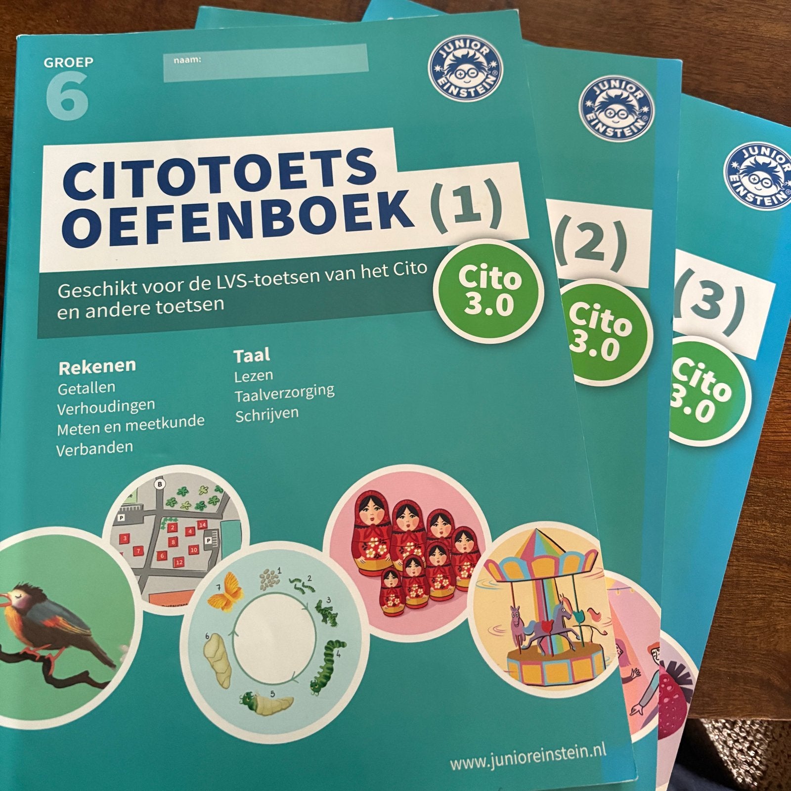 Cito Toets Oefenboeken Groep 6 (1, 2, 3) Junior Einstein, Ophalen of Verzenden, Zo goed als nieuw, Overige niveaus, Nederlands