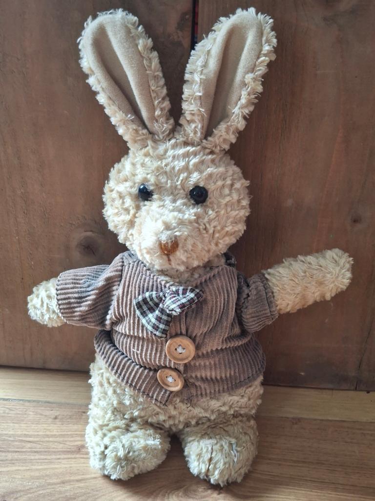 Knuffel konijn. 30 cm hoog., Ophalen of Verzenden, Konijn