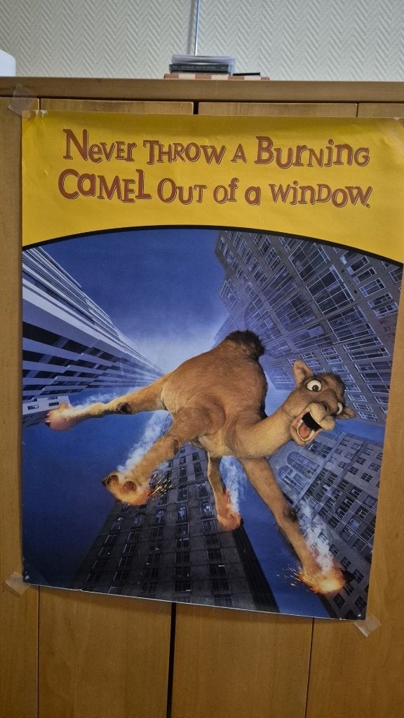 Camel Posters, Ophalen of Verzenden, A1 t/m A3, Overige onderwerpen, Rechthoekig Staand