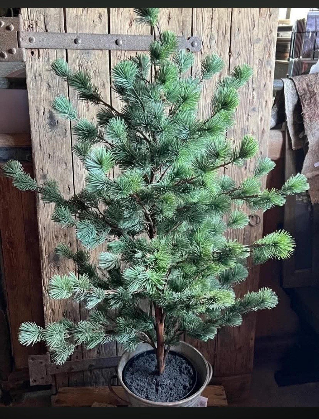 Larix kunstboom, Ophalen