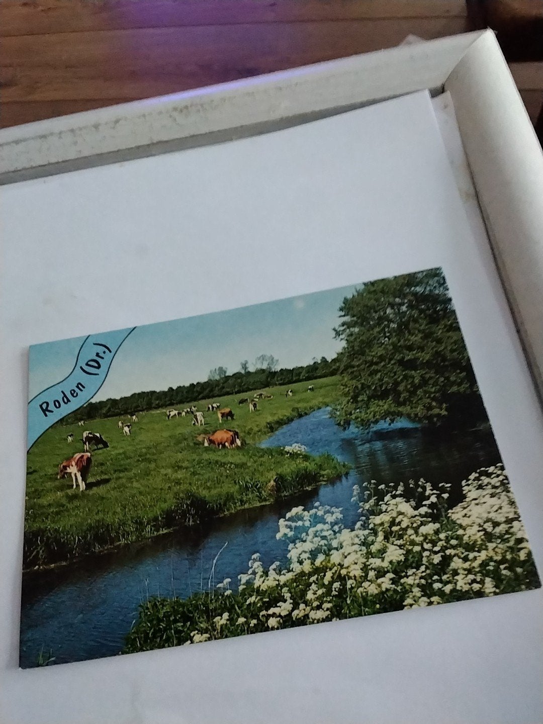 Oude ansichtkaart Roden (Dr.) - Koeien in de wei, Ophalen of Verzenden