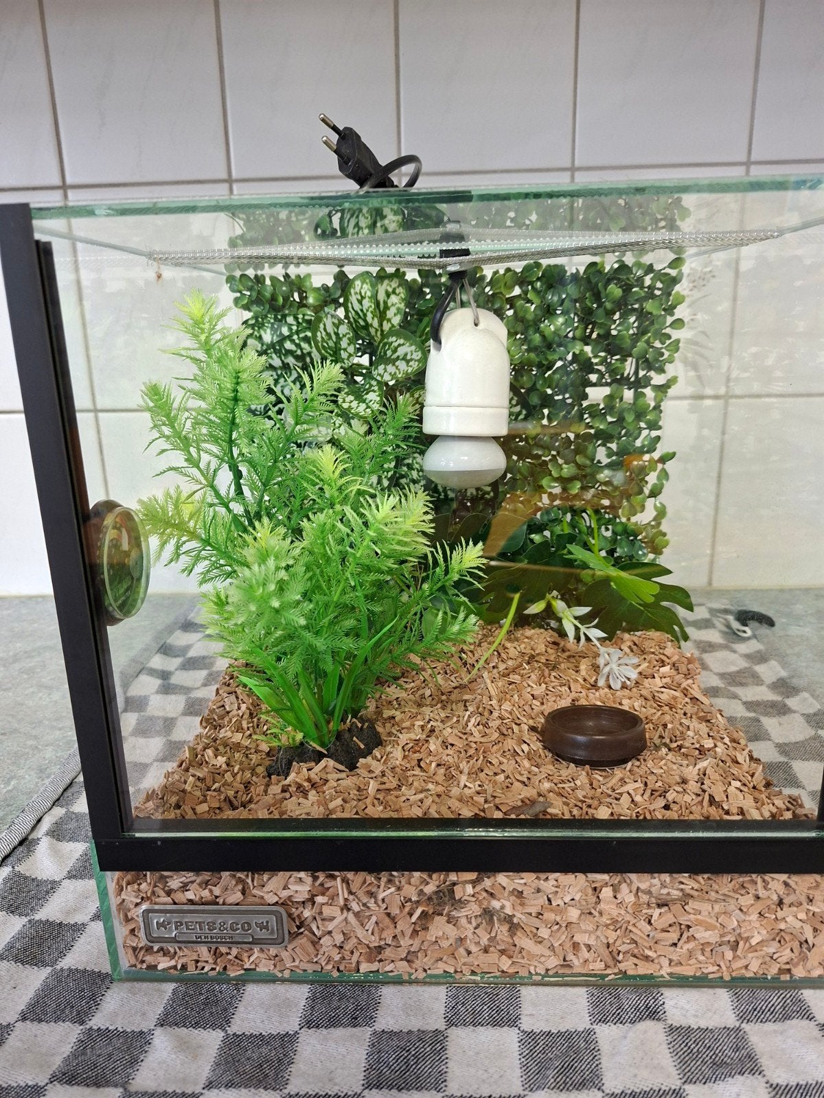 Terrarium, Ophalen, Nieuw, Overige typen