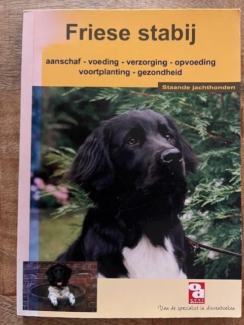 Friese Stabij OD, Verzenden, Zo goed als nieuw, Honden
