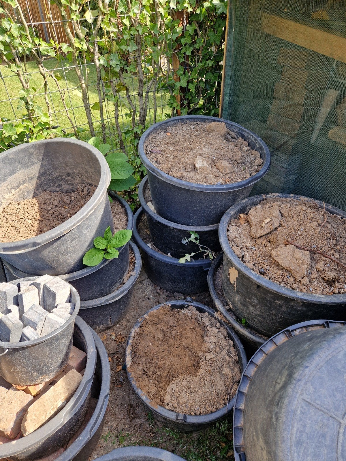 Gratis schone zwarte grond (6 speciekuipen vol), Ophalen, Gebruikt, Overige typen