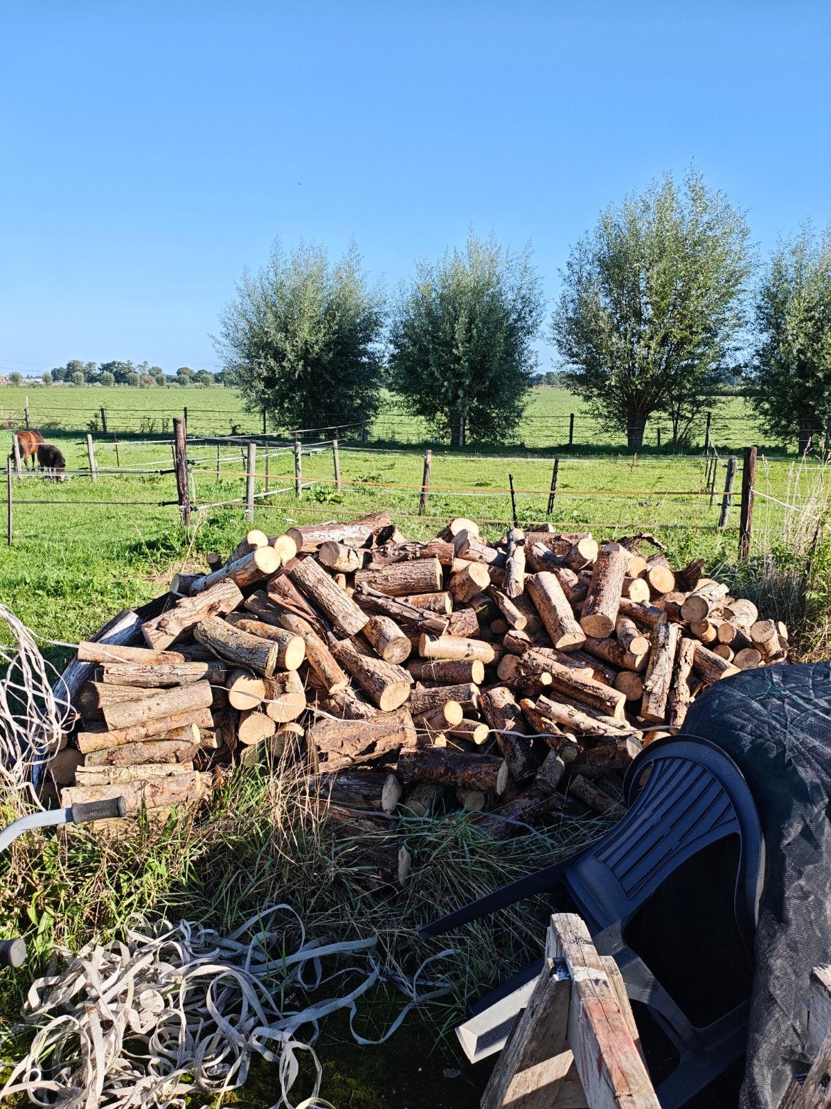 brandhout, Minder dan 3 m³, Ophalen