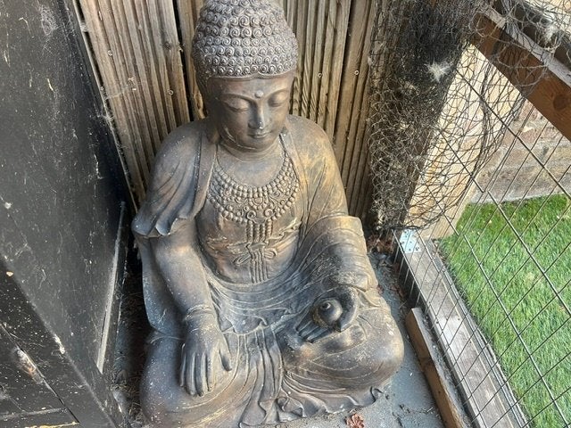budha te koop, Ophalen, Gebruikt