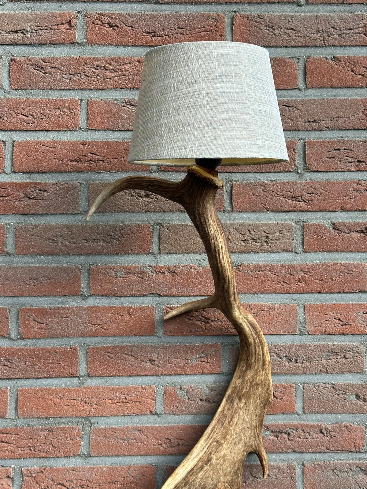 Geweien geweienlamp jacht Veluwe geweien edelhert wandlamp., Ophalen of Verzenden, Nieuw