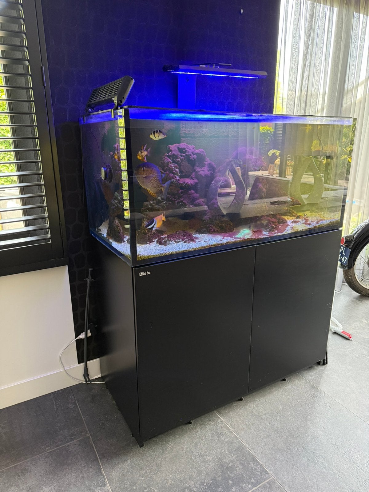Red sea zeeaquarium, Dieren en Toebehoren, Ophalen of Verzenden, Zo goed als nieuw, Gevuld zeewateraquarium