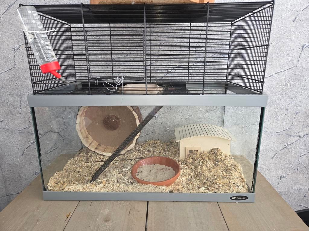 Kooi met hamster, Ophalen, Zo goed als nieuw