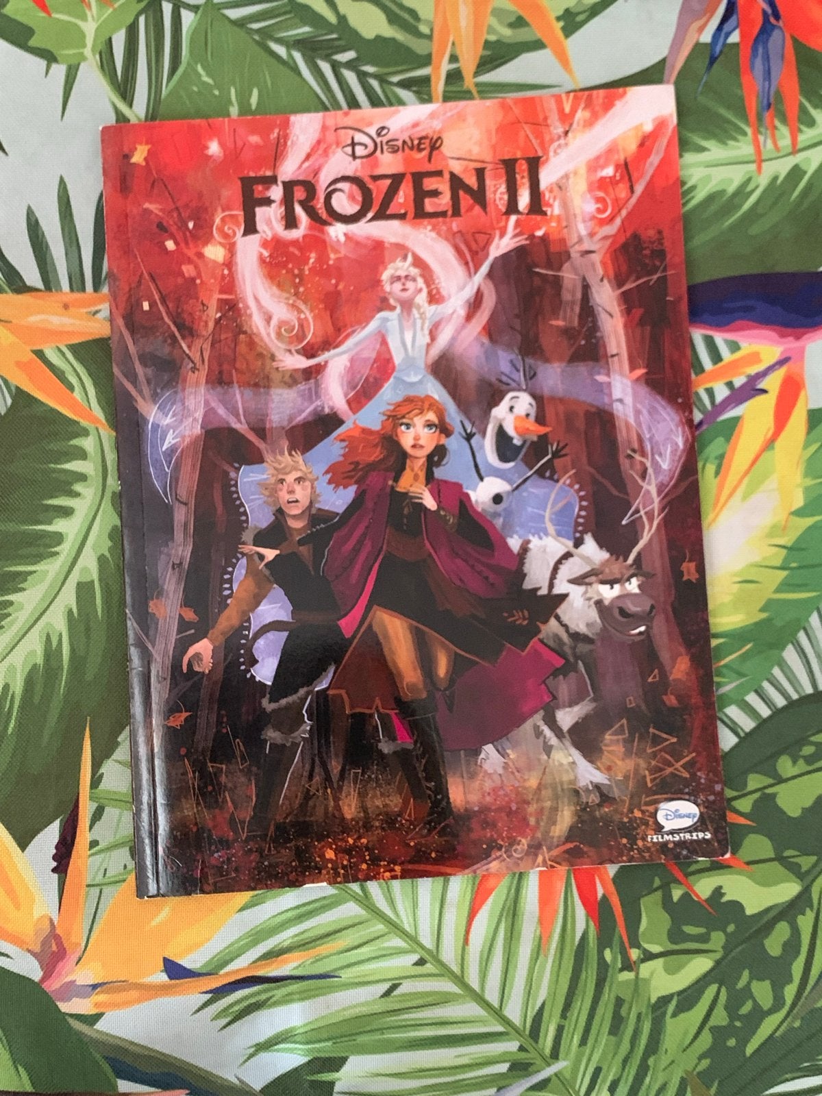 Disney Frozen II Filmstrip stripboek - Zo goed als nieuw, Boeken, Stripboeken, Eén stripboek, Verzenden, Gelezen