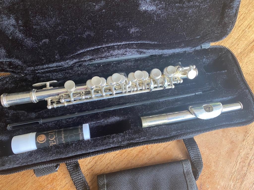 Verzilverde Cecilio Piccolo, Ophalen of Verzenden, Zo goed als nieuw, Piccolo, Met koffer of tas