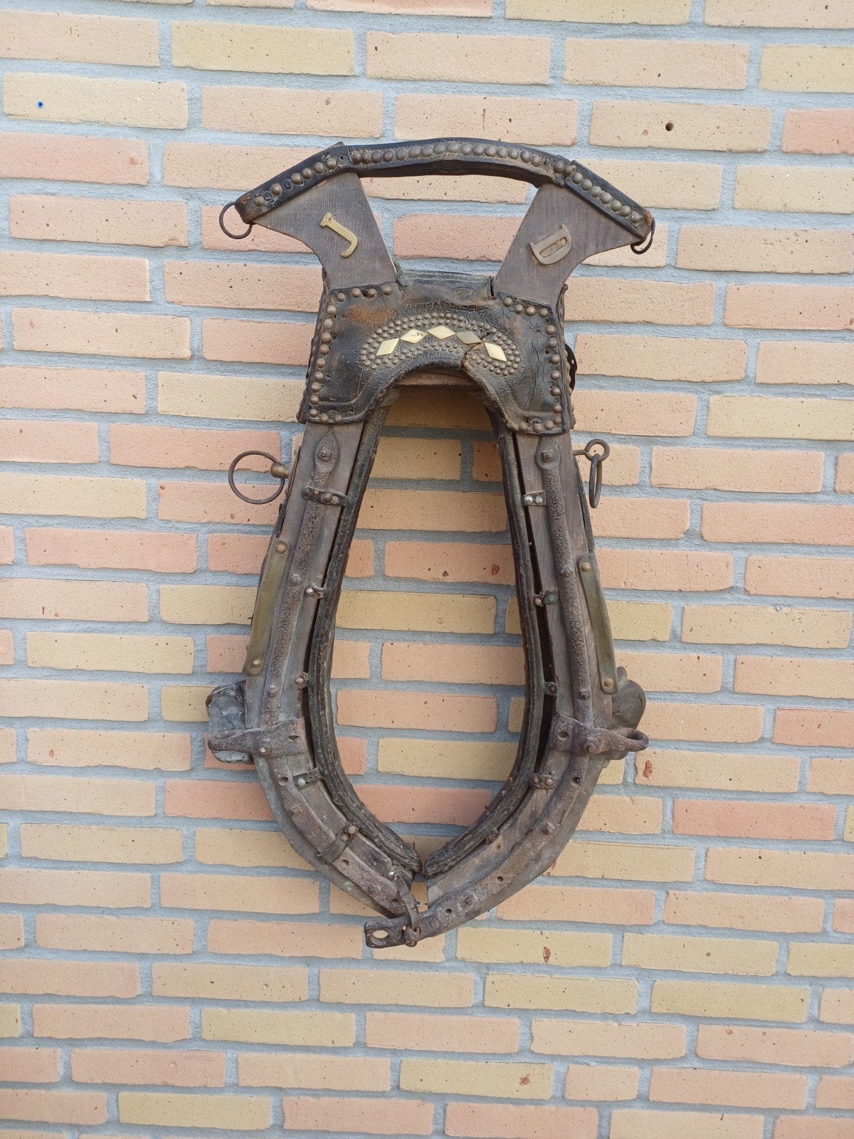 paardenhaam, Dieren en Toebehoren, Ophalen