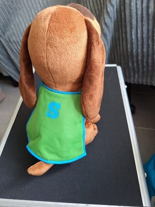Knuffel hond met groene cape h, Overige merken, Onbekend, Zo goed als nieuw, RCN vakantieparken
