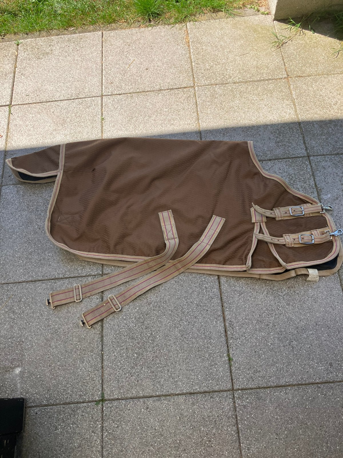 Bruine Deken shetlander, Shetlander/Mini, Ophalen of Verzenden, Gebruikt