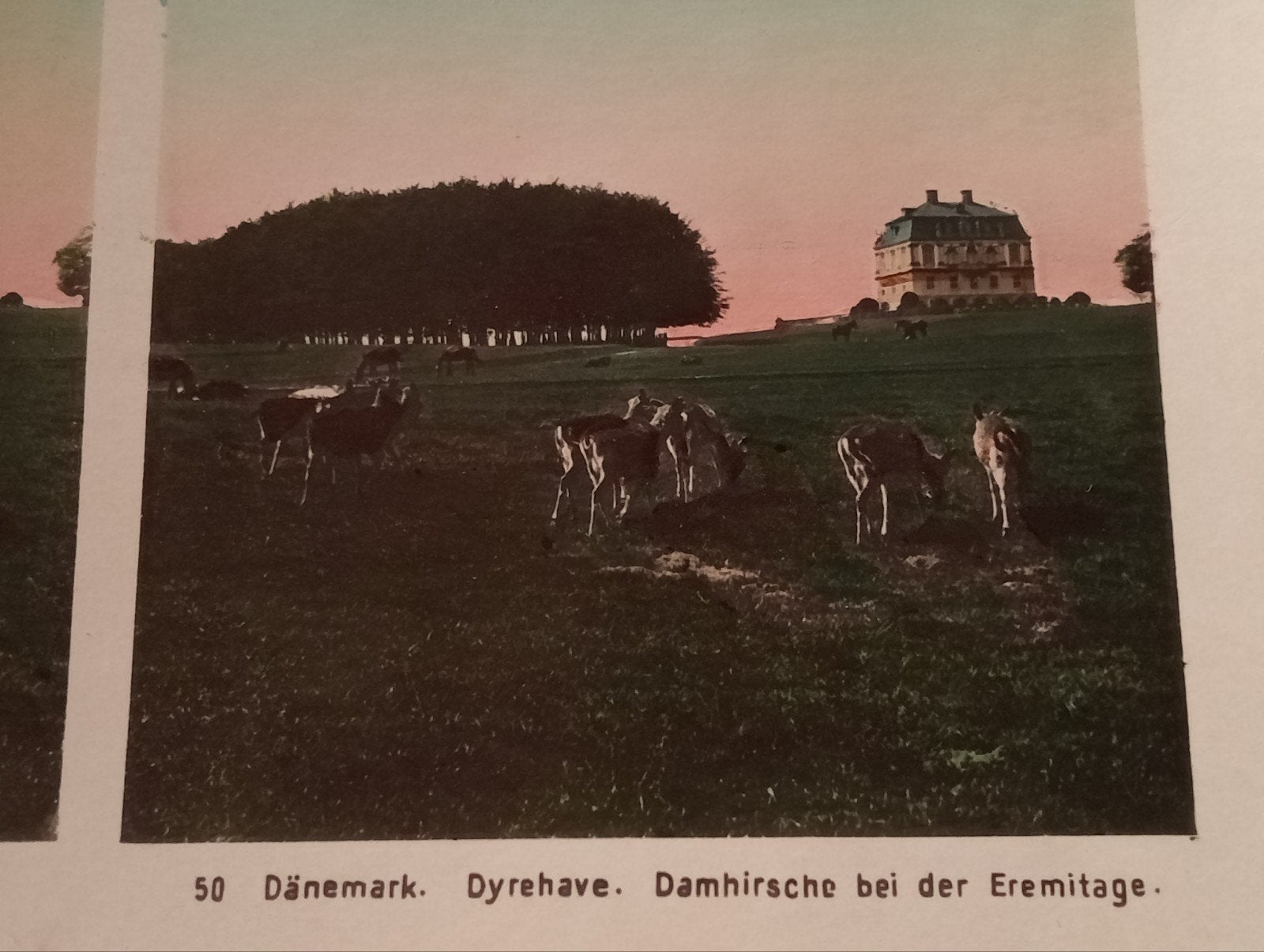 Stereofoto Denemarken, Ophalen of Verzenden, Voor 1940, Gebruikt