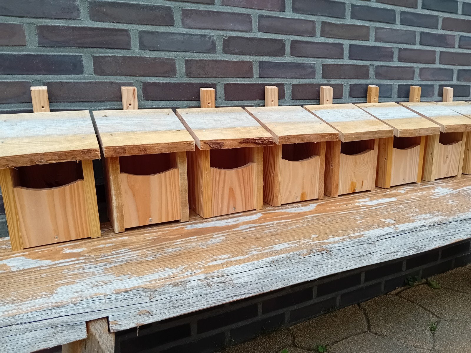 vogelhuisje nestkastje roodborstje kwikstaart winterkoning, Ophalen of Verzenden, Nieuw
