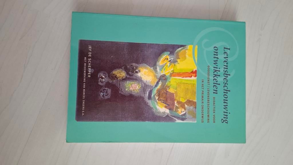 Levensbeschouwing ontwikkelen, Boeken, Studieboeken en Cursussen, Ophalen of Verzenden